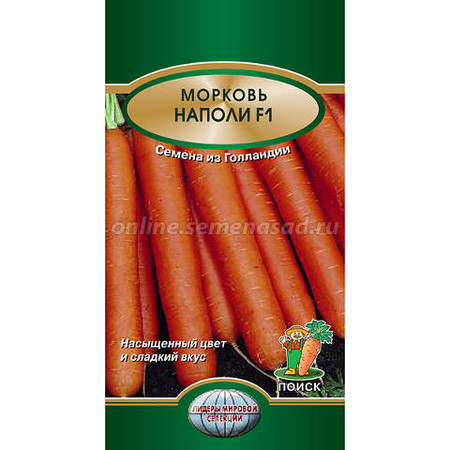Морковь Наполи F1. Поиск