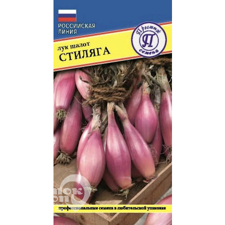 Лук шалот Стиляга. Престиж