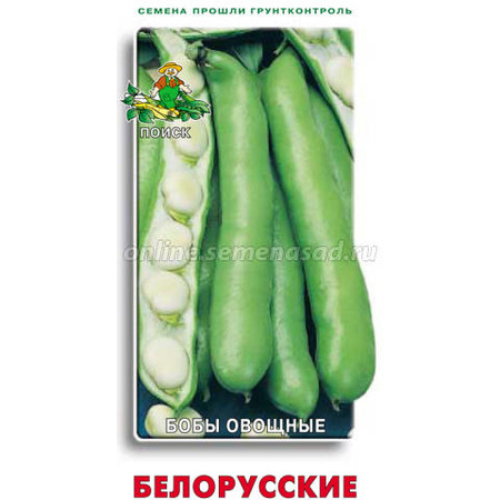 Бобы овощные Белорусские. Поиск