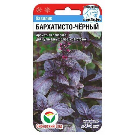 Базилик Бархатисто-черный (0.5г). Сиб. сад