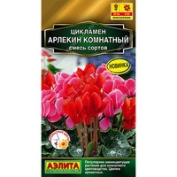 Цикламен Арлекин комнатный, смесь сортов (3шт). Аэлита