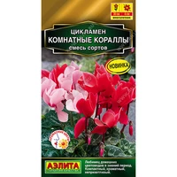 Цикламен Комнатные кораллы, смесь сортов (3шт). Аэлита