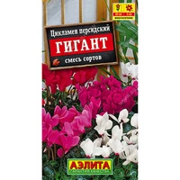 Цикламен персидский гигант, смесь сортов (3шт). Аэлита