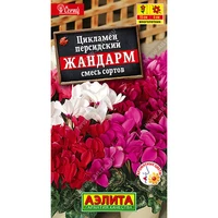 Цикламен персидский Жандарм, смесь сортов (3шт). Аэлита