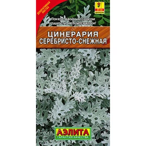 Цинерария Серебристо-снежная (0.1г). Аэлита