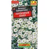 Ясколка Серебряный ковер (0.1г). Аэлита