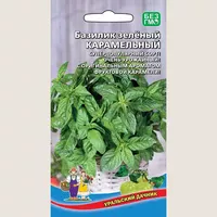 Базилик Карамельный зеленый. Уральский дачник