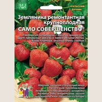 Земляника Само совершенство б/ф. Уральский дачник