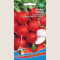 Редис Жара. Уральский дачник