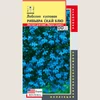 Лобелия Ривьера Скай Блю кустов. Плазма