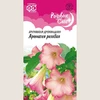 Бругмансия Аромагия розовая (3шт). Гавриш