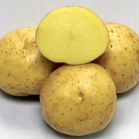 Картофель Коломбо (РС-1) 2кг
