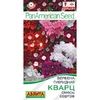 Вербена Кварц смесь окрасок (7шт). Аэлита