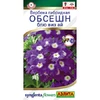Вербена Обсешн блю виз ай (5шт). Аэлита