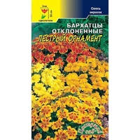 Бархатцы Пестрый Орнамент. Цветущий сад