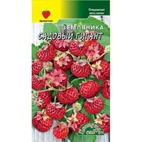 Земляника Садовый Гигант Цвеущий сад