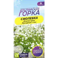 Смолевка Альпестрис Звездные сны (3шт). Семена Алтая