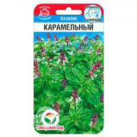 Базилик Карамельный (0.5г). Сибирский сад