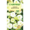 Аквилегия Винки белая (5шт). Гавриш