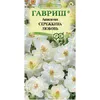 Аквилегия Сережкина любовь (0.05г). Гавриш