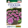 Вербена Тускани орхид фрост (5шт). Аэлита