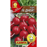 Редис 16 дней (2г). Аэлита