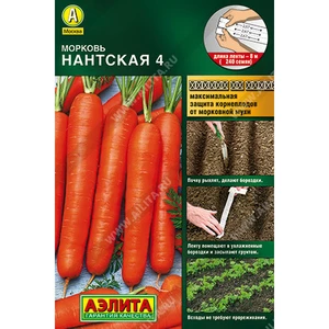 Морковь на ленте НАНТСКАЯ 4. Аэлита