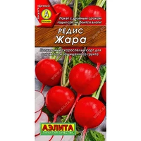 Редис Жара (3г). Аэлита