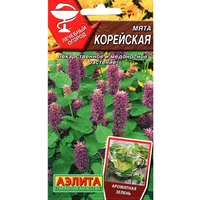 МЯТА КОРЕЙСКАЯ. Аэлита