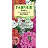 ВЕРБЕНА НАРЯДНЫЙ БОРДЮР низкая. Гавриш