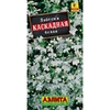 Лобелия Белая каскадная (0.05г). Аэлита