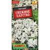 Эдельвейс Снежное Царство альп.(0.02г) Аэлита