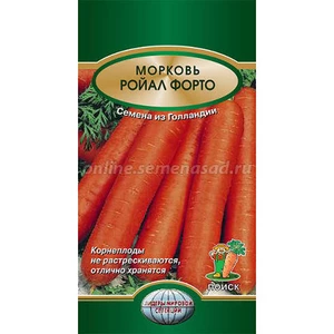 Морковь Ройал Форто. Поиск