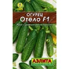 Огурец Отело F1. Аэлита