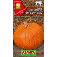 Тыква крупноплодная Большой макс (2г). Аэлита