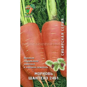 Морковь Шантенэ 2461 (сиб.серия). Поиск