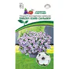 Петуния Тайдал Вэйв Сильвер (5шт). Партнер