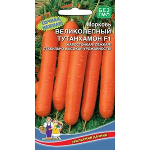 Морковь Великолепный Тутанхамон. Уральский дачник