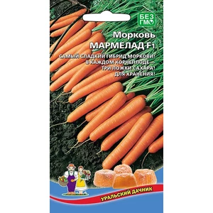 Морковь Мармелад. Уральский дачник