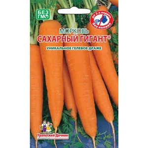 Морковь Сахарный Гигант. Уральский дачник