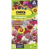 Смесь Ленивица низкая. Семена Алтая
