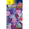 Вербена Мечта Флориста смесь (0.1г). Цветущий сад