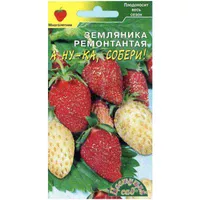 Земляника 