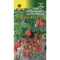 Земляника Сладкий водопад. Цветущий сад