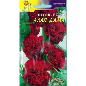 Шток-роза Алая Дама. Цветущий сад