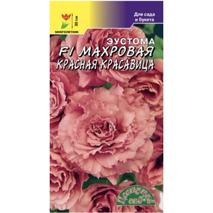 Эустома Махровая Красная Красавица. Цветущий сад