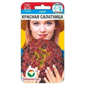 Салат Красная салатница (0.5г). Сибирский сад