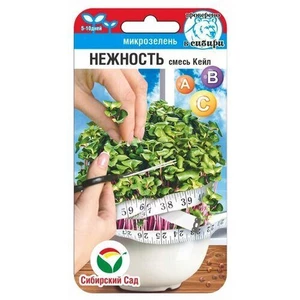 Микрозелень Нежность смесь кейл (5г). Сибирский сад