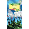 Цикламен Анели (3шт). Гавриш