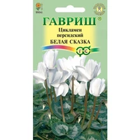 Цикламен Белая сказка (3шт). Гавриш (3шт). Гавриш